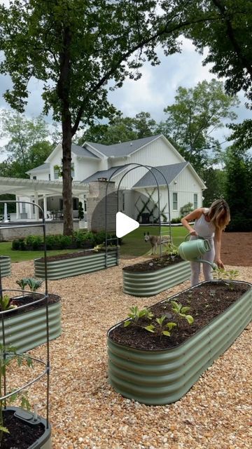 Lacey Karasik 🌿Home Decor on Instagram: "Comment ‘Vego’ for links to these amazing @vego_garden beds!  . I love these raised garden beds for multiple reasons! Not only are they gorgeous to look at but they’re raised off the grown 17” for optimal root health AND to keep those pesky bugs to a minimum. There are 9 different configurations you can choose from with this kit; I chose to build  6 2x8 beds in olive green! The beds take about 40 minutes to construct and are made from anti-rust recycled metals (no aluminum!)  . #gardenbed #gardenbeds #garden #gardeninspo #gardendesign #gardendecor #gardenlove #gardentools #gardenmusthaves #vegogarden #vegogardening #vegetablegarden #vegetablegardening #starberrypatch #landscaping #landscape #flowerbed #backyardinspo #veggiegarden #veggiepatch #vege Iron Raised Garden Beds, Raised Garden Beds In Front Of House, Metal Garden Bed Layout, Vego Garden Ideas, Galvanized Garden Beds Layout, Diy Metal Raised Garden Bed, Vego Garden Beds, Black Raised Garden Beds, Raised Garden Beds Metal