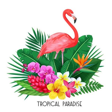 Tropical Banner, Flamingo Vector, Pink Flamingos Birds, Visual Library, Tropical Illustration, Flamingo Tropical, Tropical Background, Plant Vector, Flamingo Bird