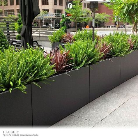 Sidewalk Planter Ideas, Urban Planters, Commercial Planters, Townhouse Garden, Balcony Planters, Side Yard Landscaping, Rectangle Planters, Tree Planters, Rooftop Design