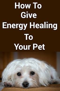 Spell For Pet Health, Reiki For Dogs, Pet Health Spell, Animal Reiki Healing, Hand Chakras, Spirituality Chakras, Meditation Aura, Burn Sage, Pet Healing