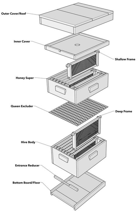 Bee Hive Plans How To Build, How To Build A Bee Hive, Bee Boxes Diy, How To Make A Bee Hive, Flow Hive Plans, Build A Bee Hive, Diy Bee Hive, Bee Hive Design, Building A Beehive