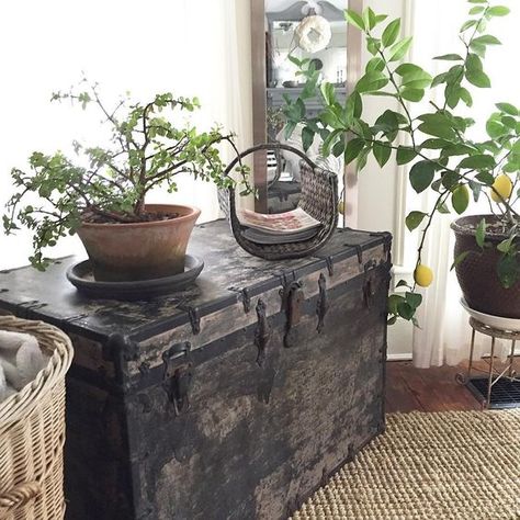 Antique Trunk Decor, Chest Decor, Boho Decorating, Eclectic Industrial, Antique Wooden Boxes, Black Floor Tiles, Rustic Wooden Shelves, Rustic Desk, Antique Trunk