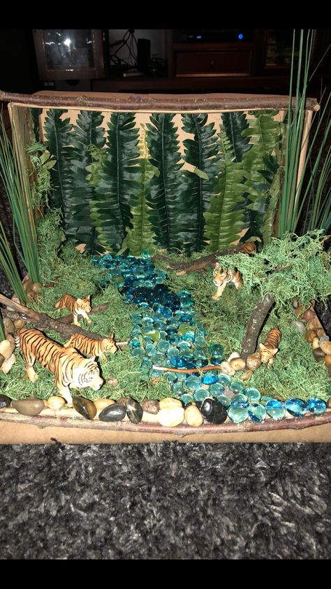 Tiger diorama #rainforest #tiger    #shoeboxdioroma #tigerdiorama #schoolproject Diorama Rainforest, Endangered Animals Project, Kindergarten Science Projects, Shoe Box Diorama, Shoebox Diorama, Rainforest Crafts, Biomes Project, Rainforest Project, Tiger Habitat