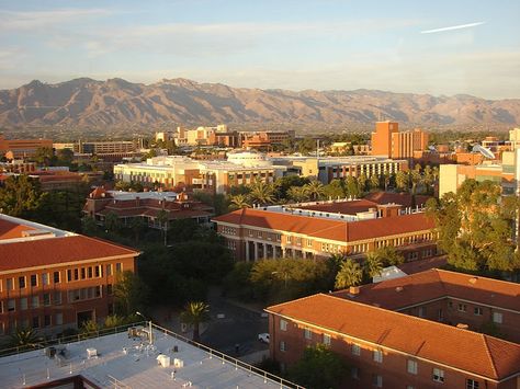 U Of Arizona, Mayan Empire, African American Museum, Special Needs Students, The University Of Arizona, First Time Parents, Top Colleges, Best University, College Admission