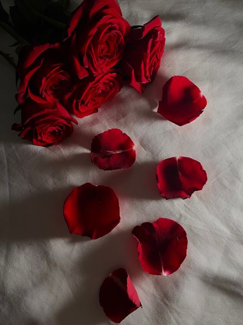 Red rose petals spreaded out towards camera, red rose aesthetic, romantic pictures, red rose photography Petals Aesthetic, Tinted Glasses, Red Rose Petals, Taurus Sign, Color Psychology, Grid Design, Beautiful Flowers Pictures, Root Chakra, Light Of My Life