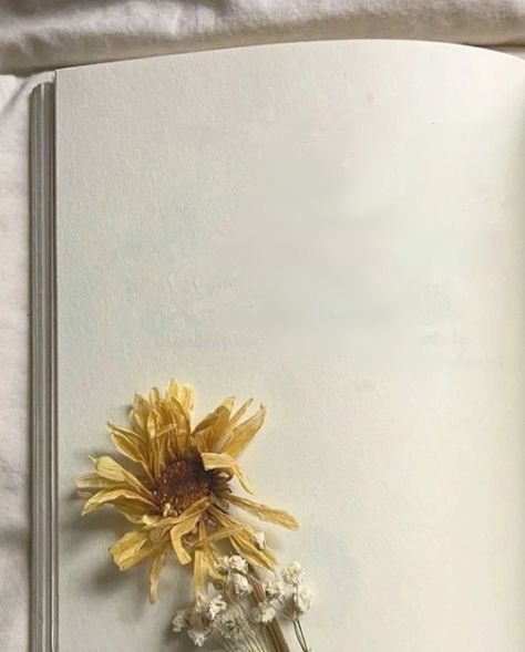 Book And Flowers Aesthetic, Background For Poem Writing, Post Background Design, Poems Background Template, Poems Background, Writing On Photos, Blank Pages Aesthetic, Plain Book Page, Book Page Aesthetic