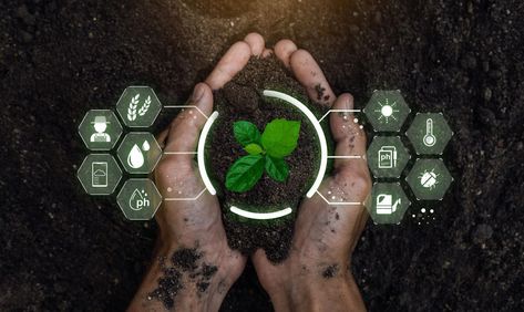 AI And Agriculture: Better Farming, Better Food Technology In Agriculture, Types Of Innovation, Precision Agriculture, Data Architecture, Agriculture Industry, Sustainable Supply Chain, Agricultural Practices, Sustainable Agriculture, Computer Vision