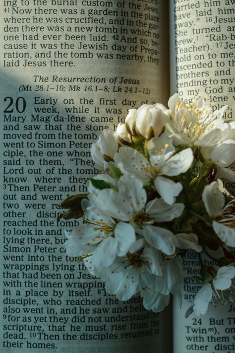 Thank you, Jesus, #Eastter #Jesus #mareedee Passion Of Christ Images, Die To Self, Empty Tomb, He Has Risen, Easter Wallpaper, Jesus Resurrection, Easter Season, Good Friday, Lord Jesus Christ