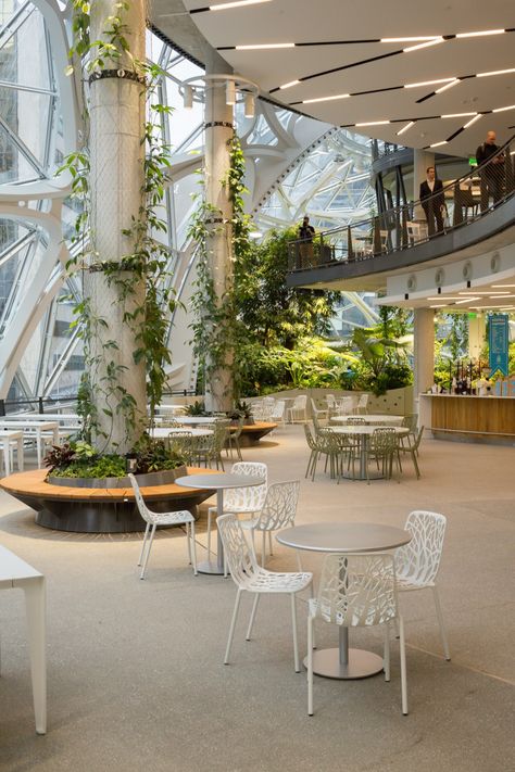 Photo Gallery: Inside Amazon's Spheres | Seattle Magazine [plants in the workplace] Garden Graffiti, Terminal Bus, Site Under Construction, Column Design, Downtown Seattle, Landscape Architecture Design, Lobby Design, Green Architecture, Holistic Lifestyle