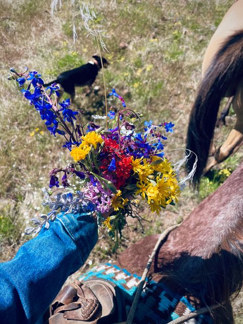 Western Flowers, Oopsie Daisy, Book Vibes, Picking Flowers, Old West, Country Life, Wild Flowers, Vision Board, Daisy