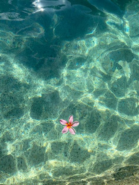 Sea Vibe, Nautical Aesthetic, Floating Flower, Ocean Girl, Cute Summer Wallpapers, Whatsapp Wallpaper, Floating Flowers, Ocean Vibes, Angel Baby