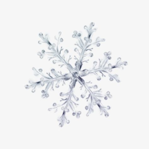 Winter Png Aesthetic, Winter Widgets, Snow Icon, Snowflake Png, Snow Png, Nature Snow, Winter Drawings, Snow Vector, Fantasy Star