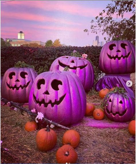 Purple Pumpkin, Halloween 2020, One Day, Pumpkins, The Year, This Year, Candy, Halloween, Purple