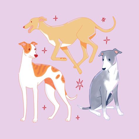 🐶🌟Doggust Day 2: Whippet🐶🌟 Today, it's all about the elegant and speedy Whippet! 🐕 These adorable pups are like the mini version of Greyhounds 😍 That is why they are my second favorite breed to draw, right after the fabulous Doberman. 🐾❤️ Join me as I draw a cute dog every day this month! Don't miss out on any of the cuteness! Follow me @yarafantasyart to see all the daily dog illustrations🎉🐾 . #doggust2024 #doggust #dogsinaugust #Whippet  #Whippetart #cutedogart #dogsinaugust2024 #drawingch... Whippet Puppies, Adorable Illustration, Dog Illustrations, Greyhound Art, Whippet Dog, Expressive Eyes, Red Bubble Stickers, Dog List, Border Collies