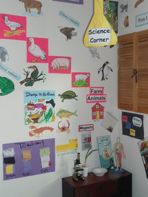 science corner Science Corner Preschool, Science Corner Classroom Ideas, Science Corner, Pet Corner, Corner Decor, Animal Science, Starting School, Grade 4, Preschool Classroom