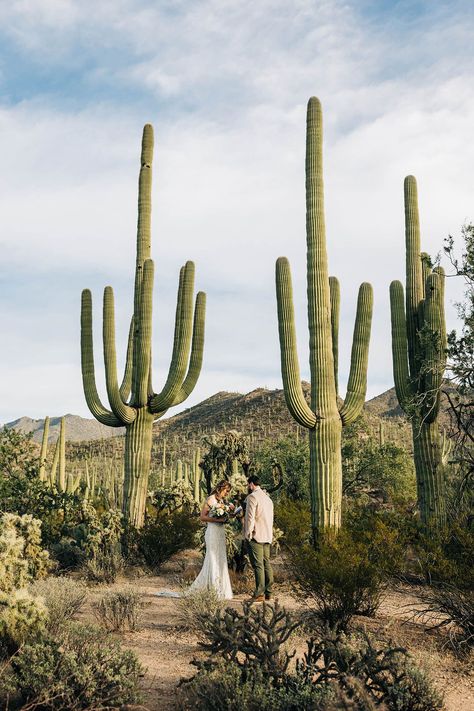 Private Vows, Tucson Wedding, Saguaro National Park, Joshua Tree Wedding, Arizona Wedding Venues, How To Elope, Wedding Painting, Inexpensive Wedding Venues, Arizona Photographer