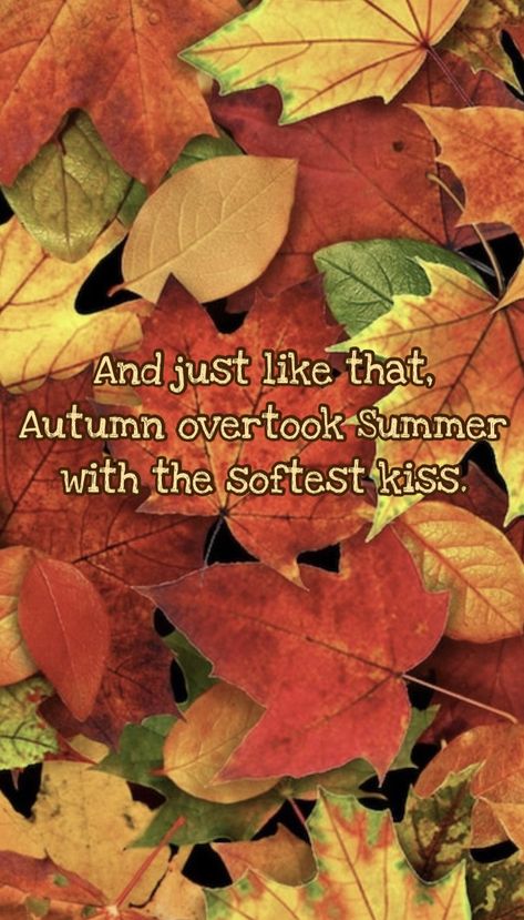 Poem About Fall Autumn, Autumn Leaves Poem, Fall Leaf Quotes Autumn Leaves, Autumn Leaves Are Falling Down Song, Autumn Leaves Falling Down Like Pieces Into Place, Autumn Poems, Seasons Months, Good Morning Funny Pictures, Happy Good Morning Quotes