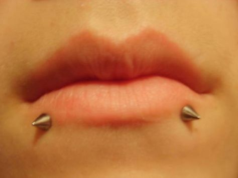 snakebites Smile Piercing, Madonna Piercing, Piercings Bonitos, Piercing Face, Snake Bite Piercing, Lip Piercing Jewelry, Piercing Labret, Snake Bite, Snakebites