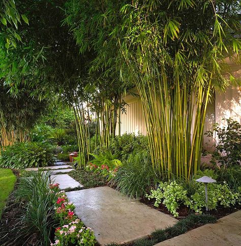 Bamboo Landscape, Tropical Patio, Tropical Landscape Design, Outdoor Lighting Design, Diy Outdoor Lighting, Tropical Backyard, Gardening Trends, Modern Landscape Design, Bamboo Garden