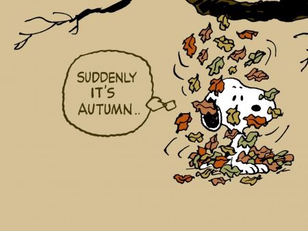 "Suddenly, it's Autumn" - Autumn Leaves Falling, Deat Note, Leaves Falling, Peanuts Comic Strip, Fall Mood Board, Snoopy Love, Season Of The Witch, Charlie Brown And Snoopy, Peanuts Gang