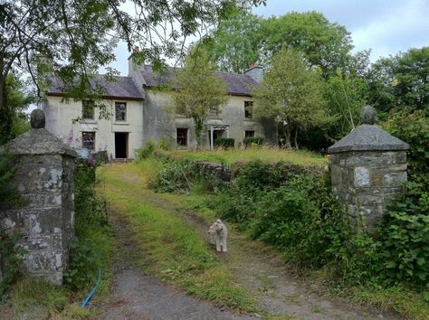 Welsh Cottage, Welsh Countryside, Orchard Garden, Ceramics Pottery Mugs, Snooker Table, Summer Hill, Quarry Tiles, Cosy Cottage, Cast Iron Radiators