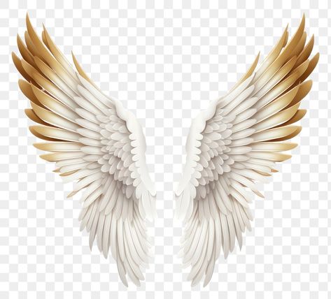 3d Wings, Png Angel, Angel Wings Graphic, Angel Png, Angel Wings Png, Eagle 3d, Flying Angel, Wings Png, Eagle Flying