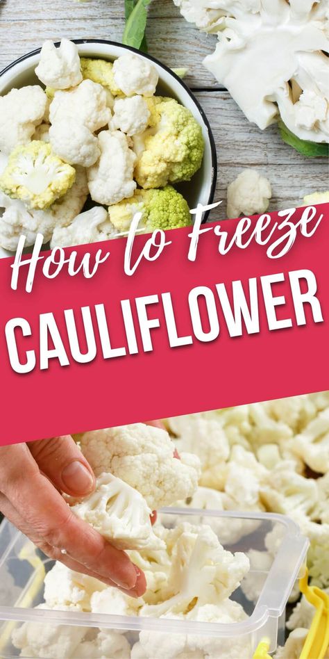 Learn how to freeze cauliflower with these helpful steps. It's a simple and cost-effective way of preserving this nutritious vegetable. You'll be able to store your cauliflower for weeks and months with ease! How To Freeze Cauliflower Without Blanching, How To Freeze Fresh Cauliflower, Freezing Cauliflower How To, How To Freeze Cauliflower, Freezing Cauliflower, Freeze Cauliflower, Purple Cauliflower, Frozen Cauliflower, Raw Cauliflower