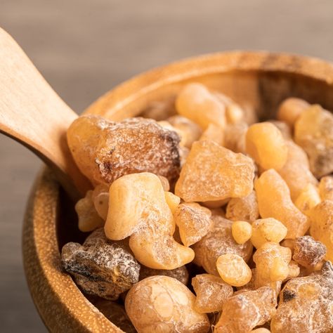 Here's an article from WebMD about the uses of Frankincense essential oil: https://www.webmd.com/diet/health-benefits-frankincense-essential-oil I've heard many of you asking about its benefits for pain. The article highlights how to use it as an anti-inflammatory aide. You can find Frankincense (Boswellia Serrata) essential oil on our webpage: https://smallbatchgarden.com/products/frankincense-essential-oil #essentialoils #pickellijay #herbalist #ellijayga #supportlocal #homeapothecary #g... Musk Essential Oil, Boswellia Serrata, Honey Candle, Candle Lid, Natural Fragrance Oil, Frankincense Myrrh, Patchouli Oil, Candle Supplies, Soap Making Supplies