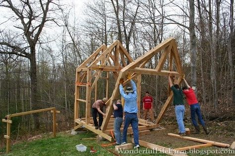 The raising of a post-and-beam garden shed.  Size: 10' x 10'.  Wonderful Life Farm: Shed Raising Post And Beam Shed, 10x10 Shed Plans, Mountain Style Homes, Shed Plans 12x16, Yard Sheds, Diy Storage Shed, House Storage, Farm Shed, Screen House