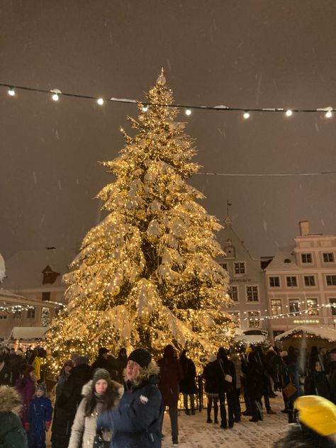 Tallinn , Christmas, Estonia Town Square Christmas Tree, Christmas Small Town Aesthetic, Christmas Small Town, Small Town Christmas Aesthetic, Boston Vibes, Old Town Christmas, Small Town Christmas, Forever Winter, Tree Town