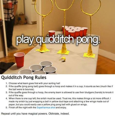 quidditch pong Gryffindor Prefect, Quidditch Pong, Funny Harry Potter, Fun Drinks Alcohol, Potter House, Harry Potter Bday, Harry Potter Theme Party, Theme Harry Potter, Harry Potter Birthday Party