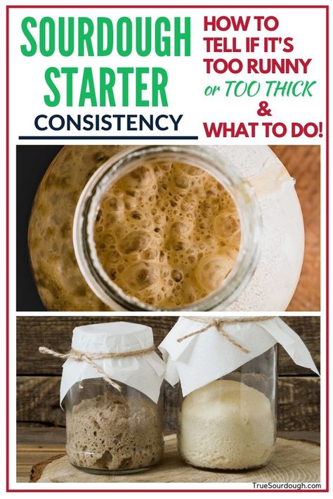 I was worried that my sourdough starter was too thick until I read this! Lot's of tips on maintaining sourdough starter, and what to do if it's too thick or too runny. #sourdoughstarter #sourdough #sourdoughtroubleshooting #sourdoughbread Preserve Recipes, Sourdough Starter From Scratch, Make A Sourdough Starter, Sourdough Discard Recipes, Recipe Using Sourdough Starter, Sourdough Bread Starter, Dough Starter, Sourdough Starter Discard Recipe, Starter Recipe