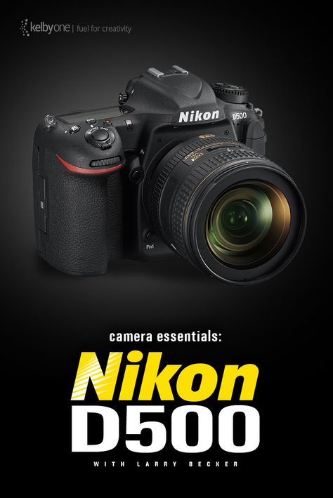 Nikon photographers—we just released our course, Camera Essentials: Nikon D500. Give the videos a watch and see how this new camera works! http://kel.by/nikon-d500-overview Photography Gadgets, Online Photography Course, Nikon Cameras, Nikon Digital Camera, Nikon D500, Dslr Photography Tips, Camera Man, Digital Camera Photography, Photography Nikon