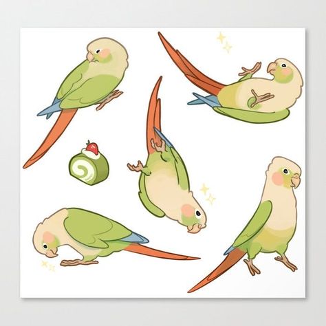 Conure Bird, Parrot Drawing, Bird Illustrations, People Drawing, Bullet Journal Mood Tracker Ideas, Cartoon Birds, Sketch Inspiration, Bird Drawings, Cute Memes