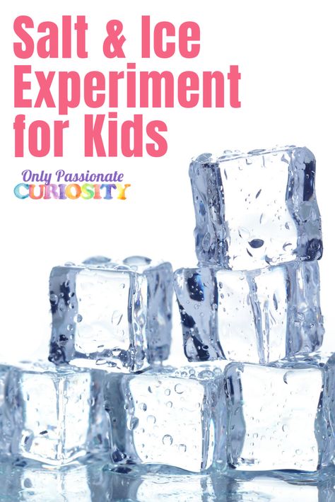 Ice Experiments, Winter Science Experiments, Winter Science, Experiments Kids, Mom Encouragement, Kid Experiments, Curriculum Development, Science Curriculum, Winter Crafts For Kids