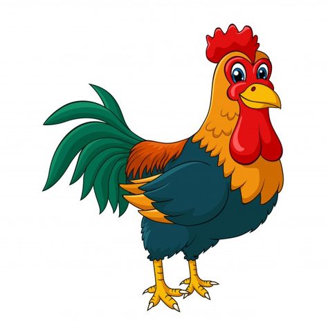 Rooster Cartoon, Rooster Images, Rooster Illustration, Farm Cartoon, Cartoon Rooster, Rooster Tattoo, Inkscape Tutorials, Chicken Pictures, Rooster Art