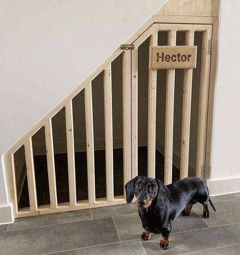 Dog Cage Under Stairs, Built In Dog Kennel Under Stairs, Understairs Dog House, Under Stairs Dog Bed, Dog Den Under Stairs, Under Stair Doghouse, Understairs Dog Area, Dog Room Ideas Under Stairs, Dog Under Stairs Spaces