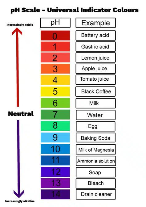 What is the pH Scale? Ph Levels Chart, Ph Chart, Ph Scale, Hygiene School, Fish Printables, Dental Hygiene School, Christmas Decorations For Kids, Ph Levels, Photos For Profile Picture