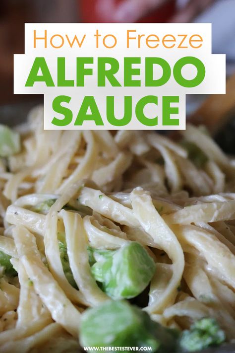 Freezing Alfredo Sauce, Freezer Alfredo Sauce, Freeze Pasta Sauce, Freezable Sauces, What To Do With Leftover Alfredo Sauce, Freezable Pasta Sauce, Make Ahead Alfredo Sauce, Make Ahead Sauces To Freeze, Can You Freeze Alfredo Sauce