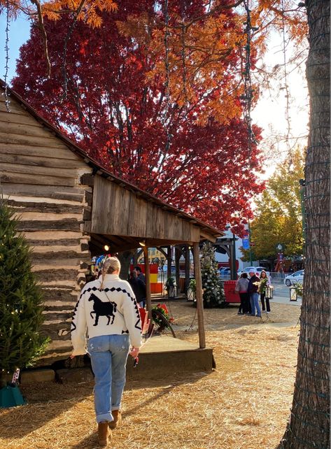 Grapevine Texas Wine Crawl Texas Autumn, Winter In Texas, Coastal Cabin, Texas Winter, Grapevine Texas, Nostalgic Childhood, Texas Farm, Great Minds Think Alike, Dream Aesthetic