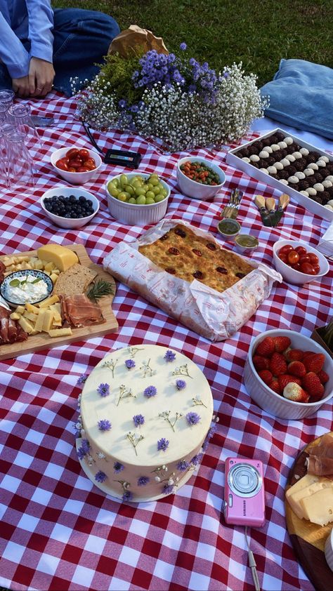 Picnic Party Ideas Food, 21st Birthday Themes, Picnic Activities, Vintage Birthday Cakes, Picnic Birthday Party, Picnic Inspiration, Picnic Essentials, Picnic Birthday, Garden Party Birthday