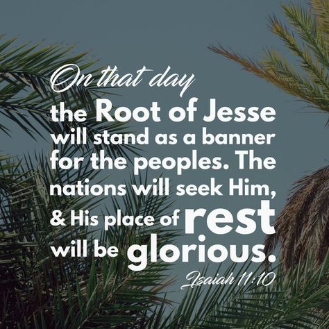 On that day the Root of Jesse will stand as a banner for the peoples. The nations will seek Him, and His place of rest will be glorious. Isaiah 11:10 Isaiah 11, Book Of Isaiah, Faith Scripture, Verses Wallpaper, Christian Bible Verses, Bible Verse Wallpaper, Son Of God, Prayer Cards, Christian Bible