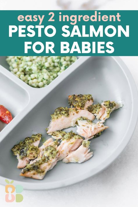 Baby Friendly Pesto Salmon - Baby Led Bliss Salmon Recipe For Baby, Salmon Baby Led Weaning, Fish Recipes For Babies, Pasta For Babies, Baby Led Weaning Lunch Ideas, Baby Applesauce, Blw Recipes, Mediterranean Recipes Healthy, White Fish Recipes