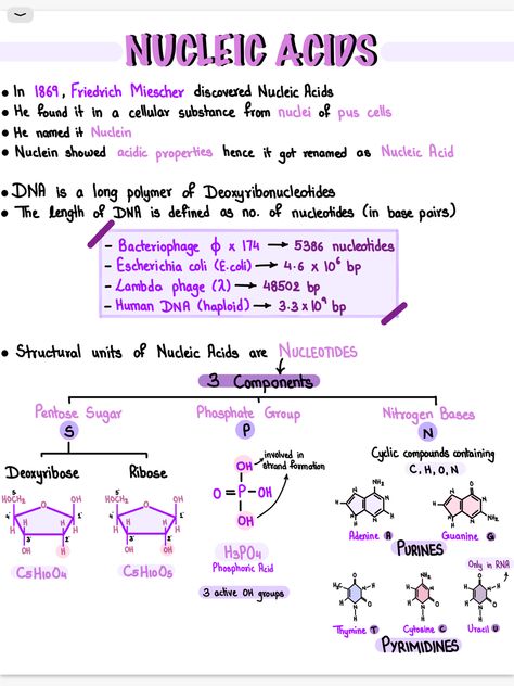 Biology❤️ Biology Study Tips Note Taking, Biomolecules Notes Biology Neet, Biomedical Science Notes, Biology Study Guide, Macromolecules Biology Notes, Grade 11 Biology Notes, Biomolecules Notes Biology, Biology Poster Ideas, Grade 11 Biology