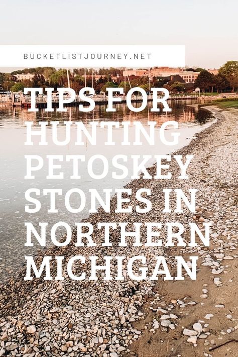 Petoskey Stones: Hunting for the Healing Rocks of Michigan Petosky Stone, Lake Michigan Stones, Exploring Wisconsin, Rock Identification, Healing Rocks, Michigan Adventures, Michigan Road Trip, Michigan Vacations, Rock Hunting