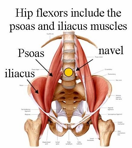 Tight Hip-Flexors, Self-Myofascial Release and Back Pain Nervus Vagus, Yoga Vidya, Psoas Release, Back Spasm, Hip Flexor Exercises, Hip Flexor Stretch, Tight Hip Flexors, Psoas Muscle, Hip Flexors