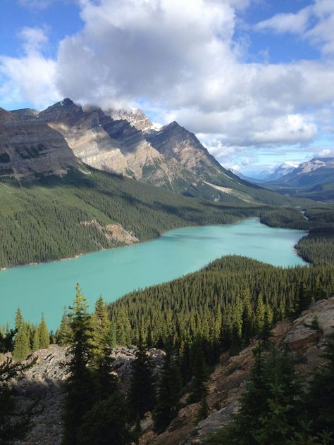 Peyto lake Canada Peyto Lake Canada, Peyto Lake, Nursing Home, Nursing, Lake, Natural Landmarks, Travel, Nature