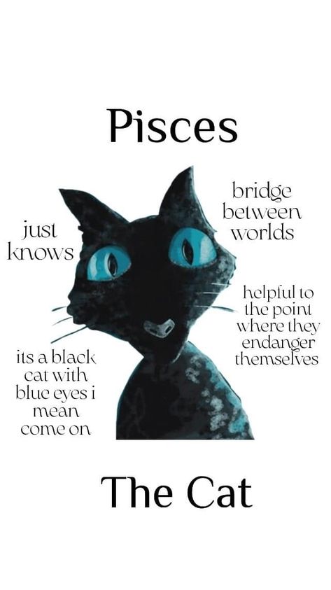 Pisces Fanart, Pisces Zodiac Art, Zodiac Magic, Magic Moon, Pisces Quotes, Pisces Sign, Cat With Blue Eyes, Zodiac Stuff, Pisces Facts