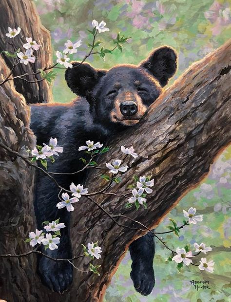 Black Bears Art, Bear Sleeping, Bear Paintings, Bear Art, Arte Animal, Arte Fantasy, Cool Paintings, Wildlife Art, Black Bear