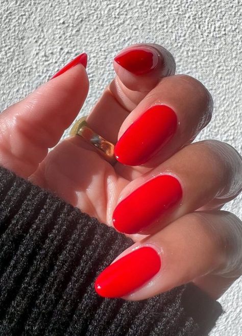 15 Glitter Nail Ideas to Copy if You’re Obsessing Over Taylor Swift’s Manicure Too Cute Red Nails, Fall Nails 2023, Navy Blue Nails, Fun Nail Colors, September Nails, Red Polish, Painted Nails, Spring Nail Colors, Classic Nails